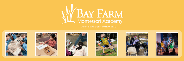 Envisioning a Bright Future Together, Bay Farm’s Spring Appeal